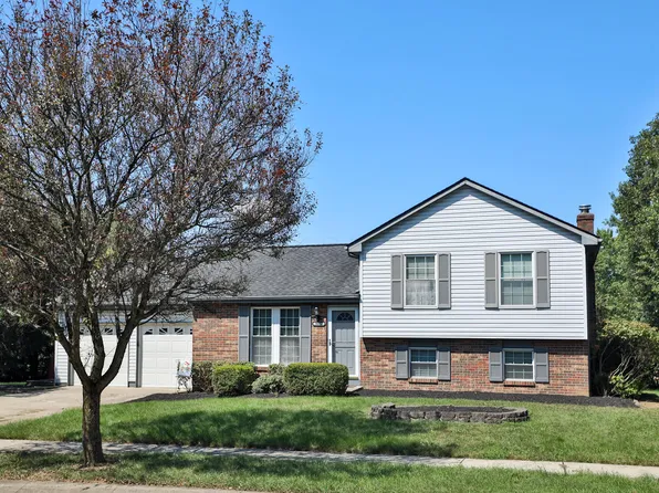 8681 Blanca Ct, Powell, OH 43065