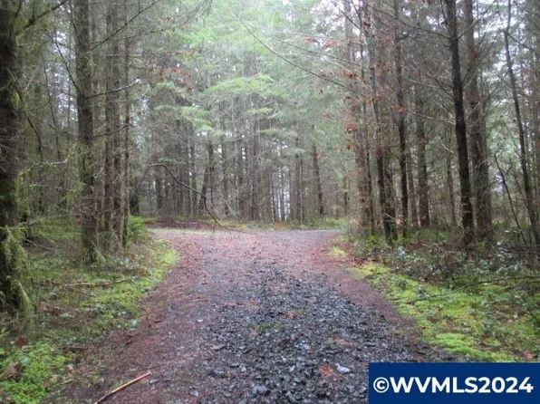 0 Zurfluh Rd, Scio, OR 97374