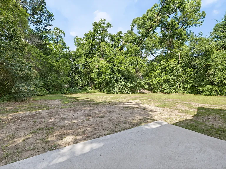 Back yard