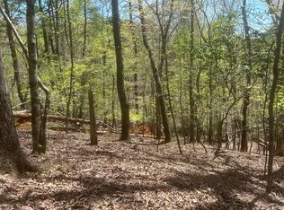 LOT 1944 Palmetto Dr, Ellijay, GA 30540