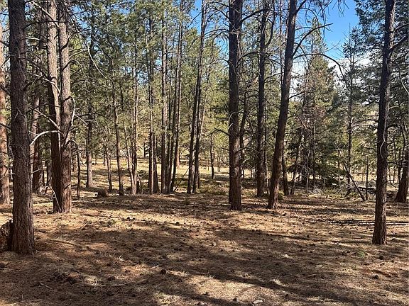 5th image of 642 Matterhorn Drive LOT 7
