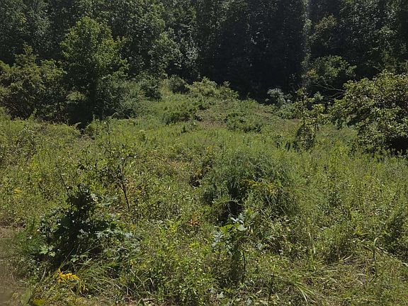 2nd image of 265 Cox Rd