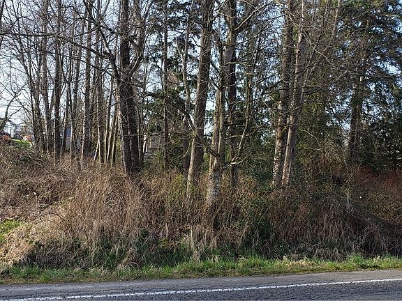3rd image of 26015 SE 424th St