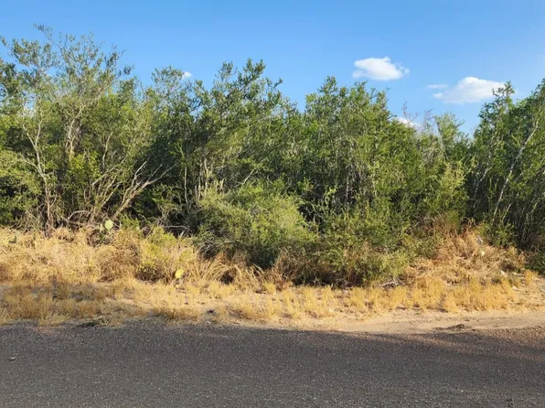 5303 Juan Ln, Zapata, TX 78076
