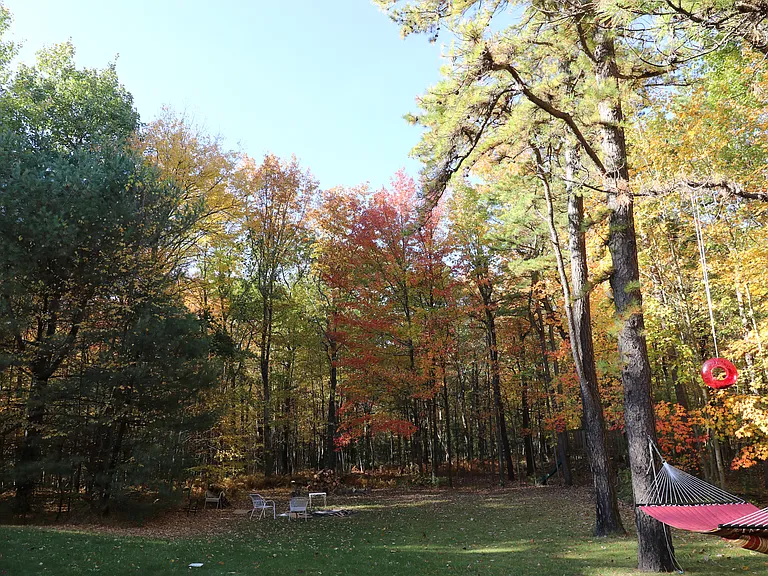 Backyard - fall