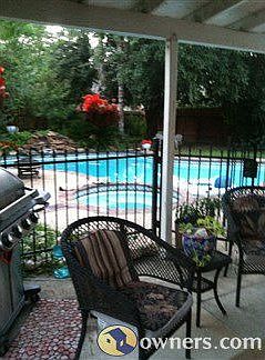 Great back yard