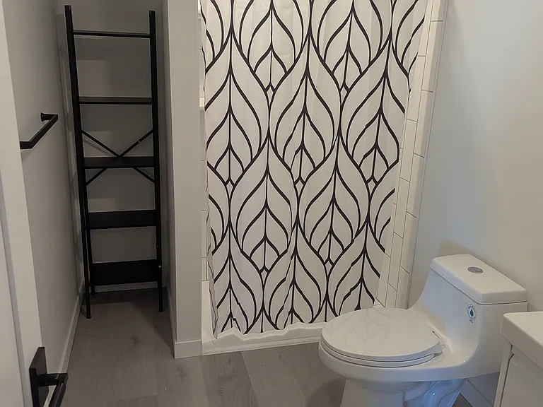 Walk-in shower and dual-flush toilet