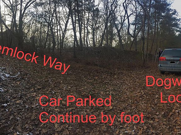 4th image of Dogwood Dr