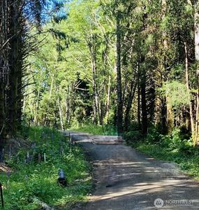 290 lot 4 Luttrell Lane, Chinook, WA, 98614