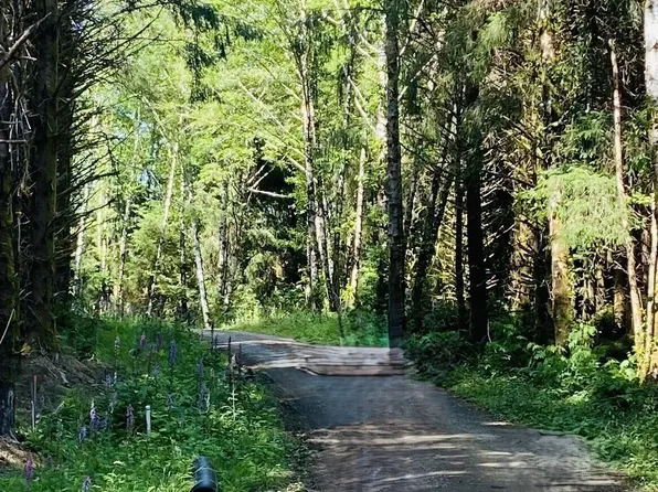 290 lot 4 Luttrell Lane, Chinook, WA 98614