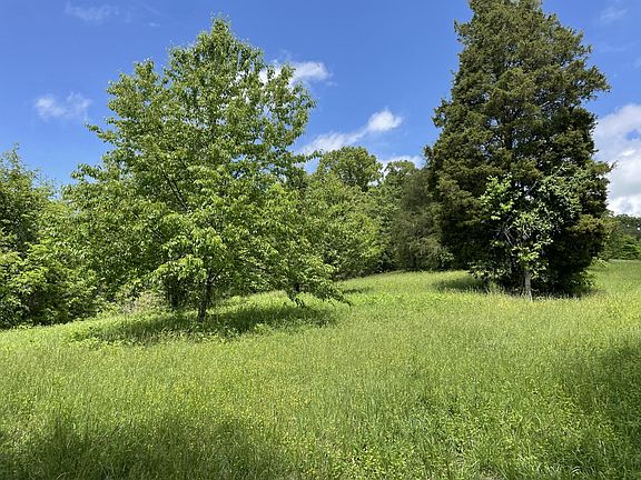 4th image of Anderson Bend Rd