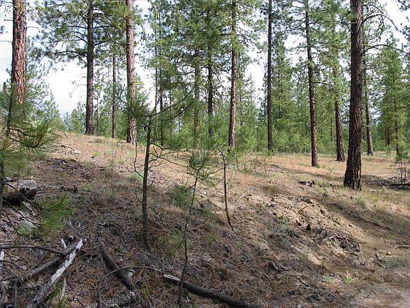 2nd image of 0 Eagle River Way