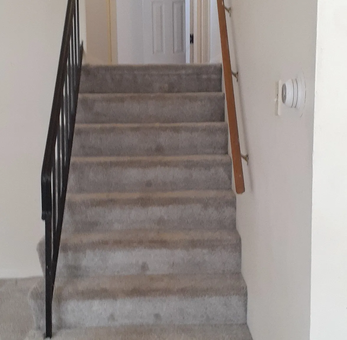 1 bed, 700 sqft, $1,650 — Photo 2