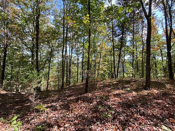 3rd image of LOT 13 Scots Point