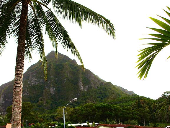 Mountain view