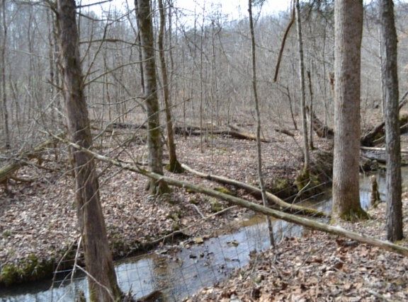 3rd image of 0 Boles Rd