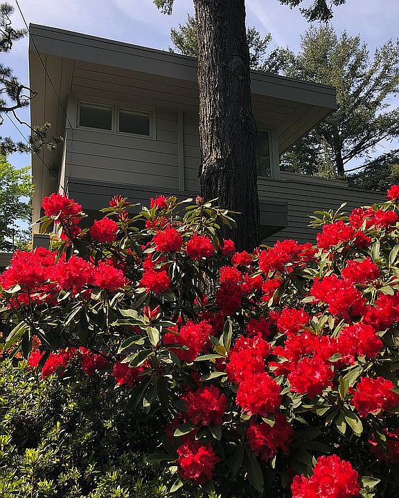 East side of house 