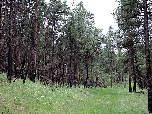 2nd image of Nhn Deer Ln