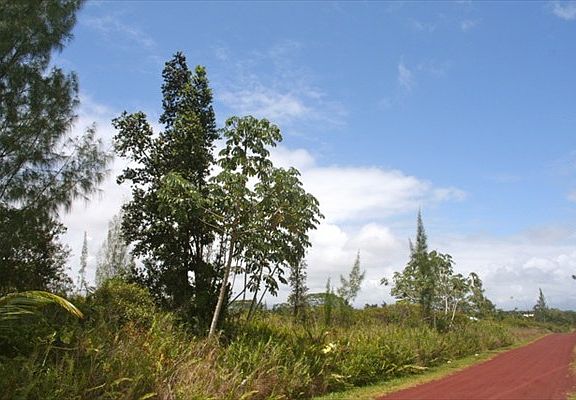 2nd image of 4th Ave Lot 1355