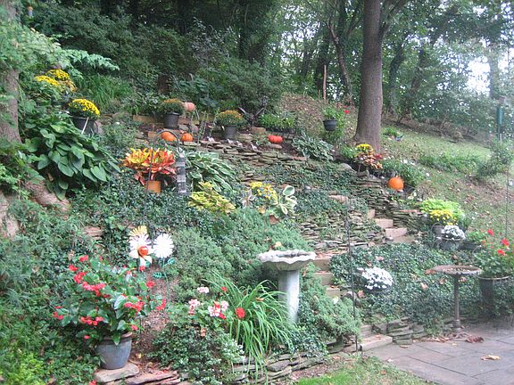 Rear flower beds