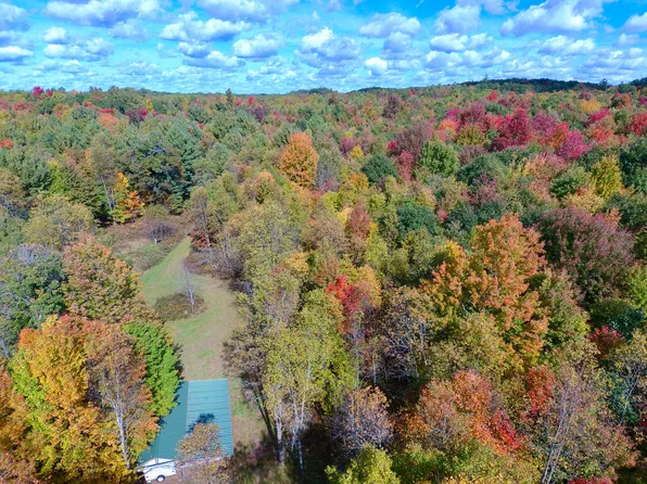 S Bonney Rd, Chase, MI 49623