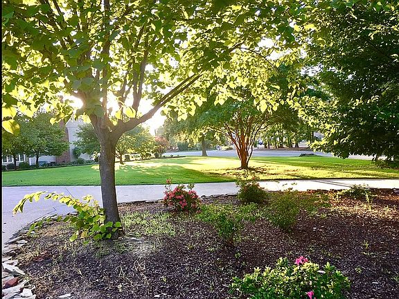 view from front of home