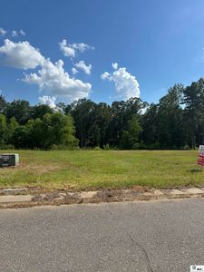 802 Bella Vista Loop, West Monroe, LA, 71291