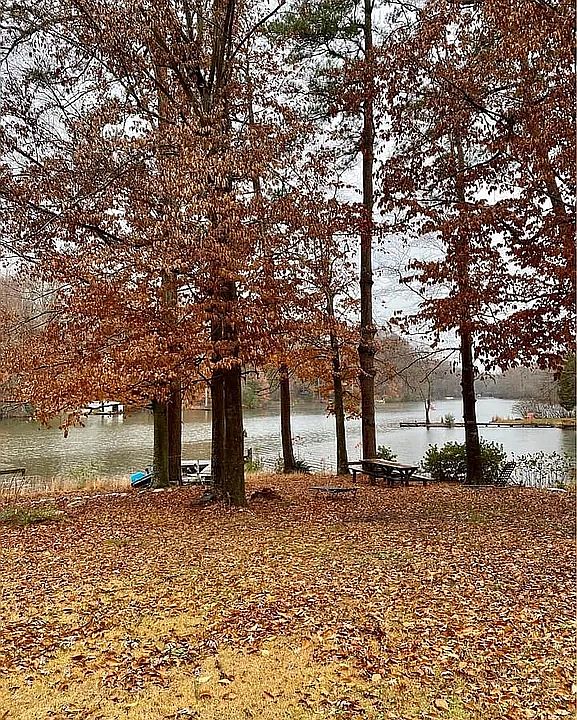 1st image of 7380 Lakeshore Dr