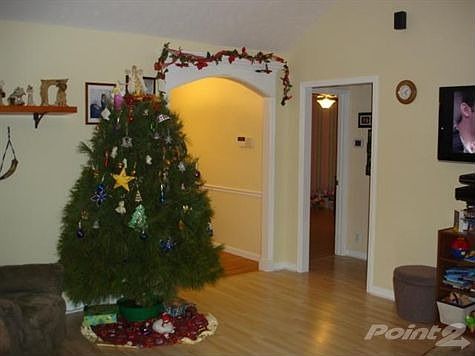 4th image of 3511 Paulownia Cir