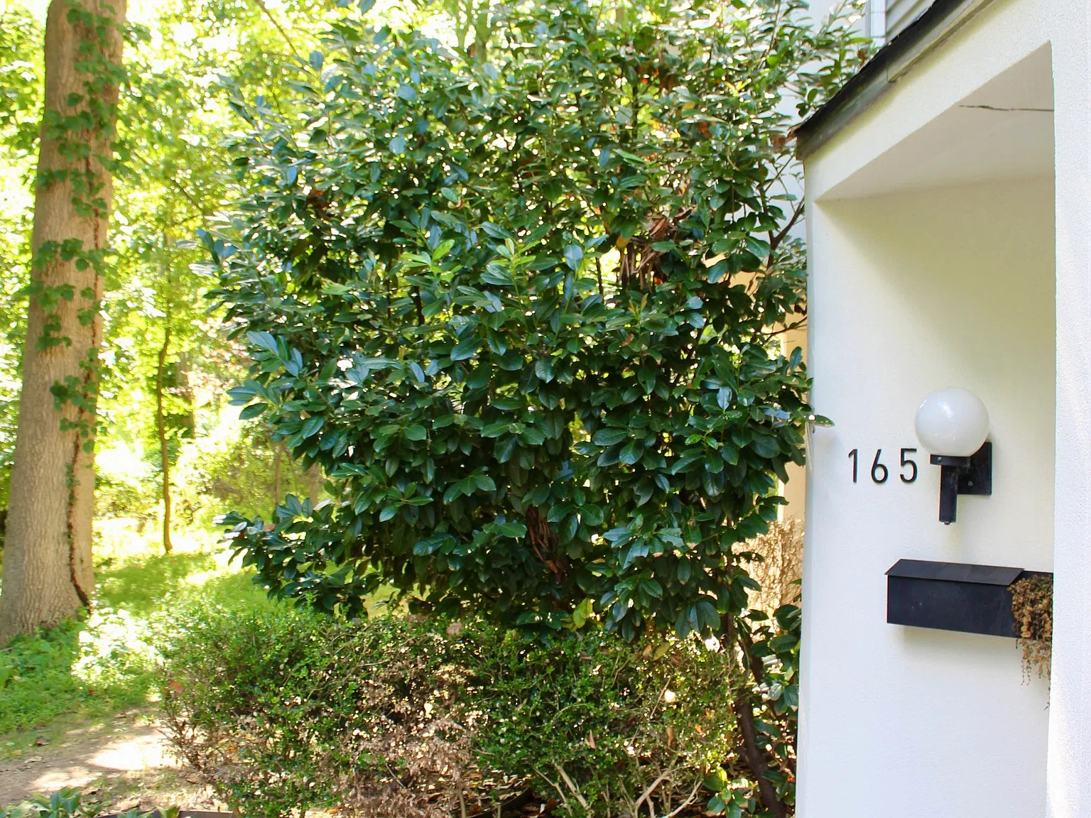 2 bed, 1460 sqft, $2,650 — Photo 2
