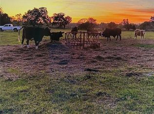 3650 NE 95th St, Anthony, FL 32617