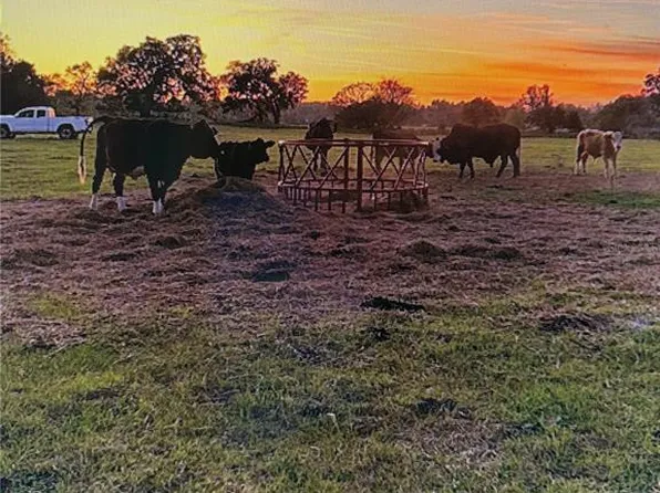 3650 NE 95th St, Anthony, FL 32617