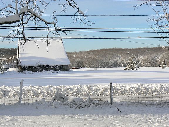 view of farm across st. after snow '10
