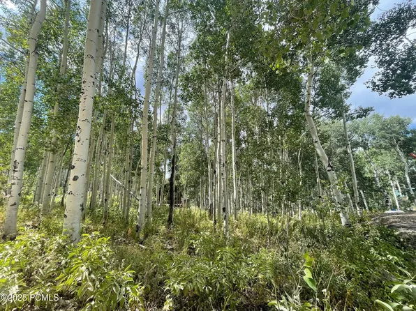 11485 Violet Way #1845, Heber City, UT 84032