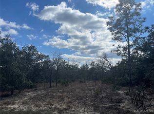 27 Freesia Ct, Homosassa, FL 34446