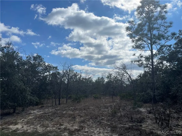 27 Freesia Ct, Homosassa, FL 34446