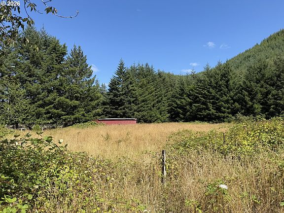 5th image of 10082 Lone Pine Ln