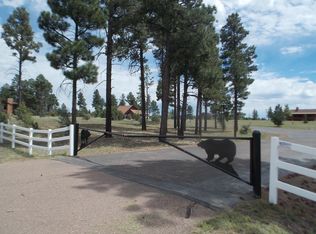 2242 Bear Claw Dr, Overgaard, AZ 85933