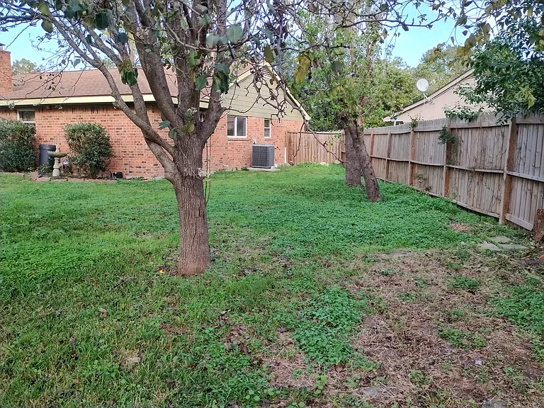 Side of house from back corner of back yard.