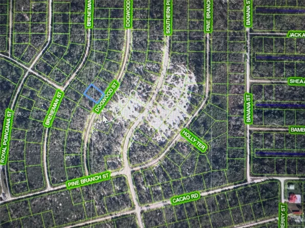 1230 Dogwood St, Lake Placid, FL 33852