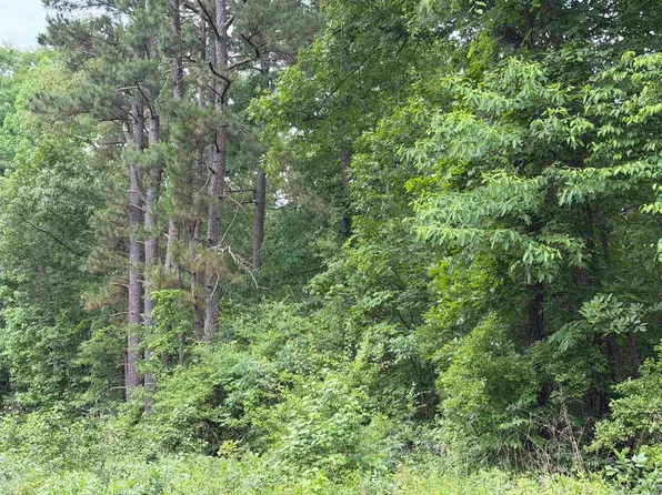 8126 Autumnwood Rd, Mabelvale, AR 72103