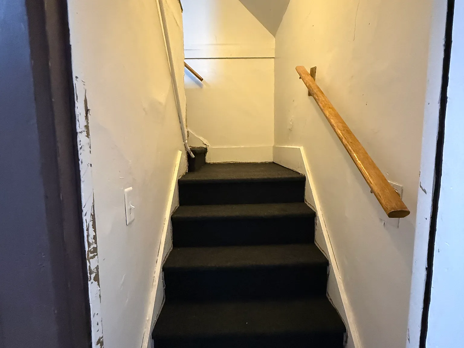1 bed, 650 sqft, $800 — Photo 2