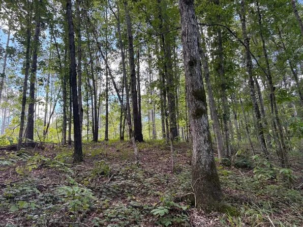 283 County Road 104, Montevallo, AL 35115