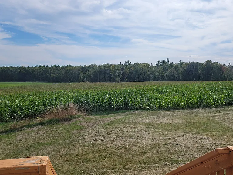 118 Meaderboro Rd — Photo 5