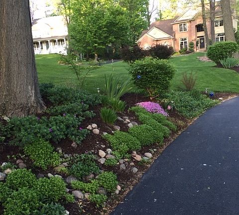 Spring Garden