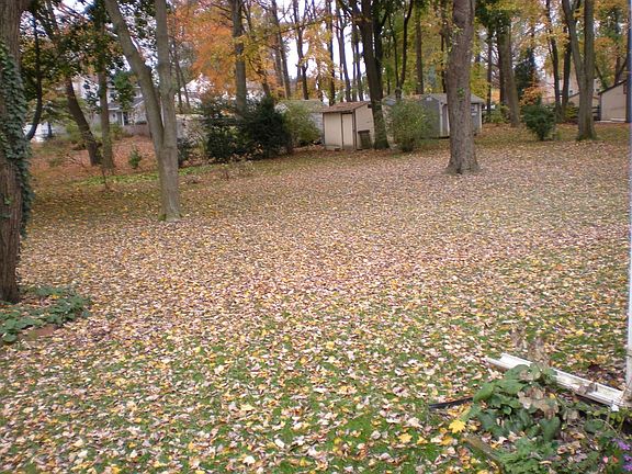Exterior Back Yard 