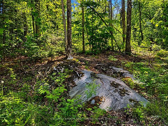 5th image of 0 Buckshot Lake Rd