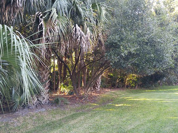 5th image of 1628 Song Sparrow Ct