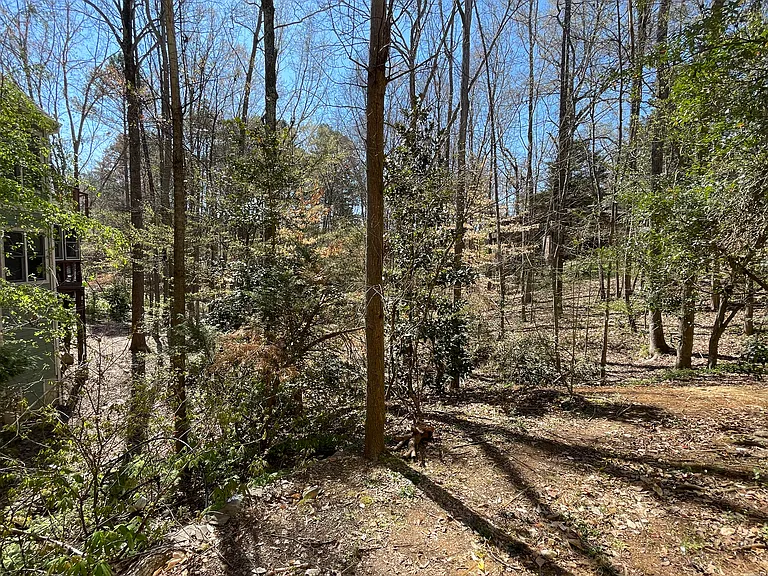 101 Songbird Ln — Photo 47