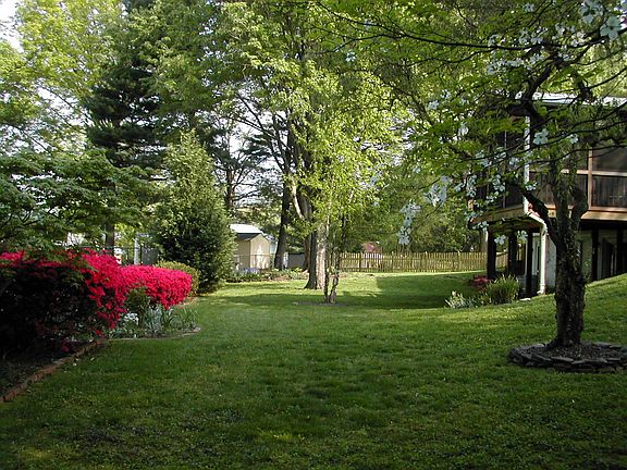 Back yard